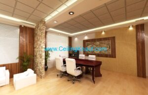 ceiling-3D 3