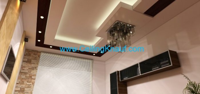 ceiling-3D 4