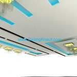 ceiling-3D 5